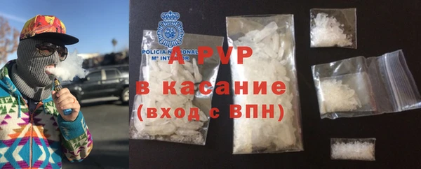 индика Краснотурьинск