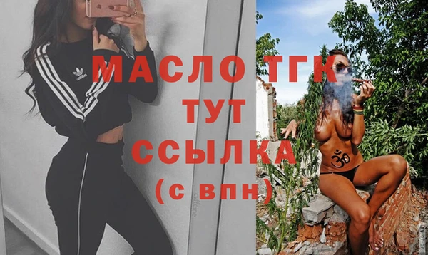 индика Краснотурьинск
