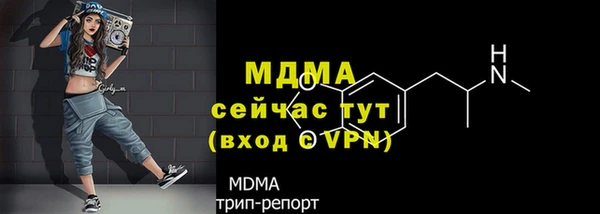 индика Краснотурьинск