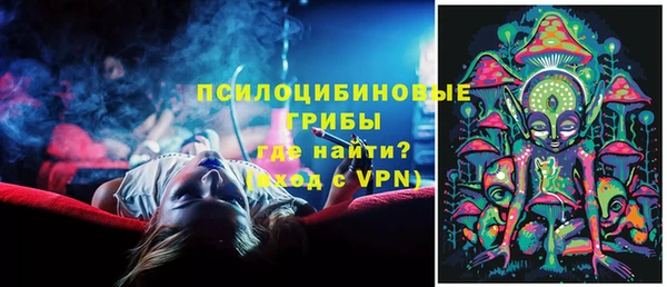 прущие крисы Кулебаки