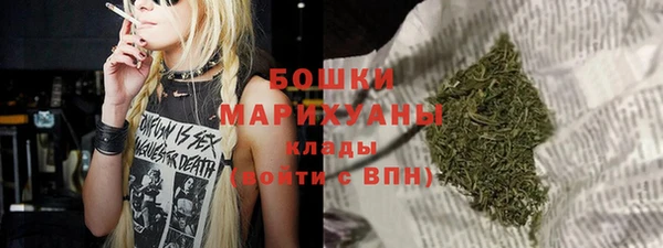 индика Краснотурьинск