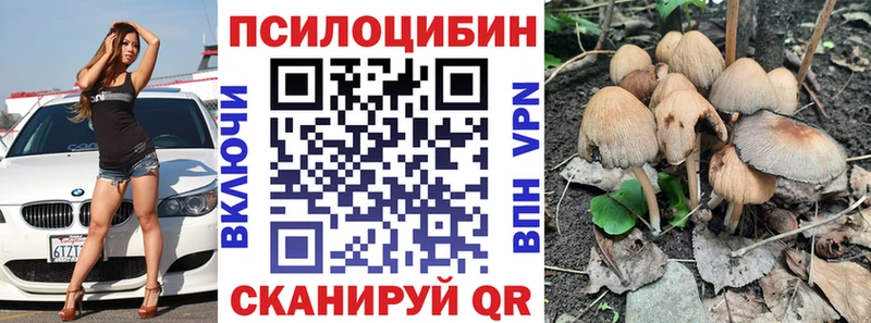 Галлюциногенные грибы MAGIC MUSHROOMS  Кяхта 